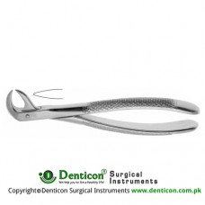 Cowhorn English Pattern Tooth Extracting Forcep Fig. 86 (For Lower Molars) Stainless Steel, Standard